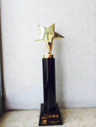 閃亮滴眼液榮登2015“健康中國?品牌榜”價(jià)值排行榜 (2).jpg